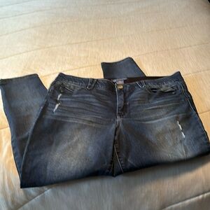 Democracy Abroad Solution Skinny Jeans